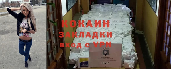 2c-b Болотное