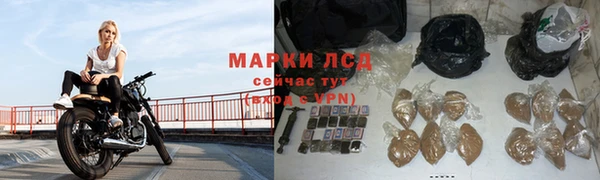 ПСИЛОЦИБИНОВЫЕ ГРИБЫ Болохово