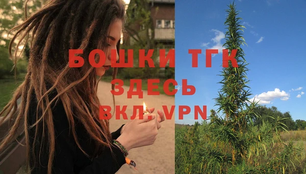 2c-b Болотное