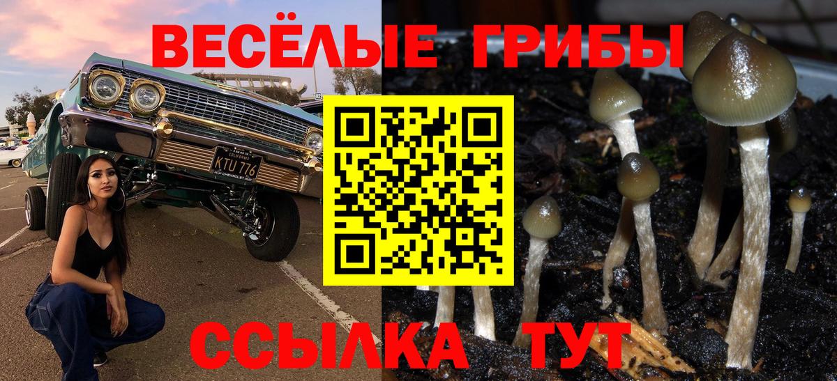 Галлюциногенные грибы Psilocybine cubensis  Галлюциногенные грибы Cubensis  Вход с VPN  где найти наркотики  Воткинск 